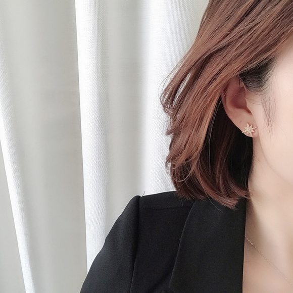 Eight-pointed star silver pin earrings B - Picture 3 of 3